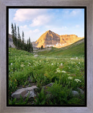 Load image into Gallery viewer, Timpanogos Meadow
