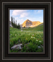 Load image into Gallery viewer, Timpanogos Meadow