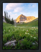 Load image into Gallery viewer, Timpanogos Meadow