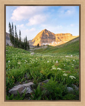Load image into Gallery viewer, Timpanogos Meadow