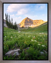 Load image into Gallery viewer, Timpanogos Meadow