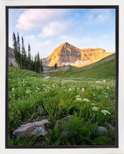 Load image into Gallery viewer, Timpanogos Meadow