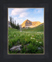 Load image into Gallery viewer, Timpanogos Meadow