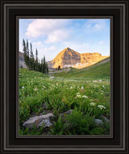 Load image into Gallery viewer, Timpanogos Meadow
