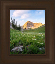 Load image into Gallery viewer, Timpanogos Meadow