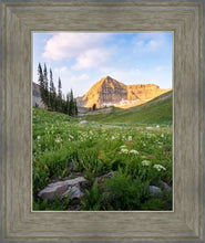 Load image into Gallery viewer, Timpanogos Meadow