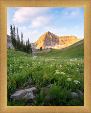 Load image into Gallery viewer, Timpanogos Meadow