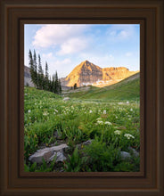 Load image into Gallery viewer, Timpanogos Meadow