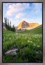 Load image into Gallery viewer, Timpanogos Meadow