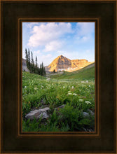 Load image into Gallery viewer, Timpanogos Meadow