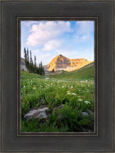 Load image into Gallery viewer, Timpanogos Meadow
