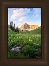 Load image into Gallery viewer, Timpanogos Meadow
