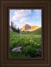 Load image into Gallery viewer, Timpanogos Meadow