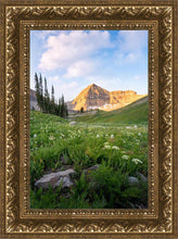 Load image into Gallery viewer, Timpanogos Meadow