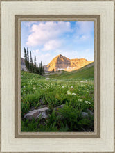 Load image into Gallery viewer, Timpanogos Meadow