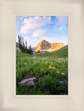 Load image into Gallery viewer, Timpanogos Meadow