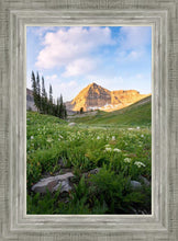Load image into Gallery viewer, Timpanogos Meadow
