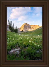 Load image into Gallery viewer, Timpanogos Meadow