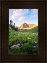 Load image into Gallery viewer, Timpanogos Meadow