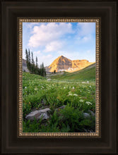 Load image into Gallery viewer, Timpanogos Meadow