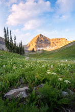 Load image into Gallery viewer, Timpanogos Meadow