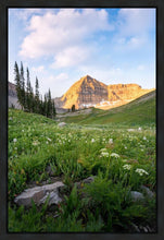 Load image into Gallery viewer, Timpanogos Meadow