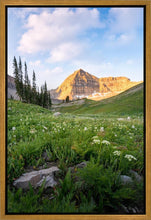 Load image into Gallery viewer, Timpanogos Meadow
