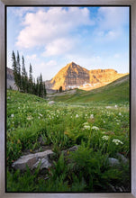 Load image into Gallery viewer, Timpanogos Meadow