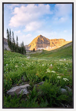 Load image into Gallery viewer, Timpanogos Meadow