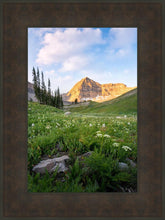 Load image into Gallery viewer, Timpanogos Meadow