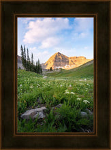 Load image into Gallery viewer, Timpanogos Meadow