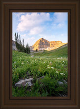 Load image into Gallery viewer, Timpanogos Meadow