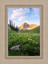 Load image into Gallery viewer, Timpanogos Meadow