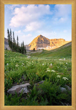 Load image into Gallery viewer, Timpanogos Meadow