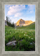 Load image into Gallery viewer, Timpanogos Meadow