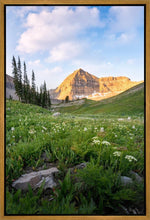 Load image into Gallery viewer, Timpanogos Meadow