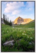 Load image into Gallery viewer, Timpanogos Meadow