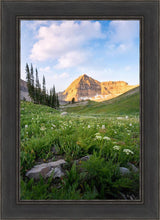 Load image into Gallery viewer, Timpanogos Meadow