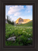 Load image into Gallery viewer, Timpanogos Meadow