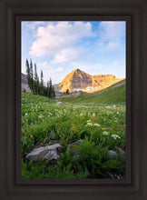 Load image into Gallery viewer, Timpanogos Meadow