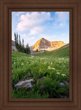 Load image into Gallery viewer, Timpanogos Meadow