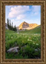 Load image into Gallery viewer, Timpanogos Meadow