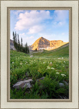 Load image into Gallery viewer, Timpanogos Meadow