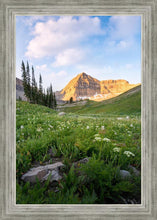 Load image into Gallery viewer, Timpanogos Meadow