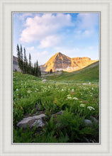 Load image into Gallery viewer, Timpanogos Meadow