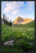 Load image into Gallery viewer, Timpanogos Meadow