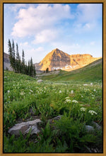 Load image into Gallery viewer, Timpanogos Meadow