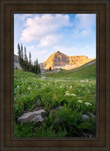 Load image into Gallery viewer, Timpanogos Meadow