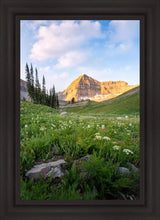 Load image into Gallery viewer, Timpanogos Meadow