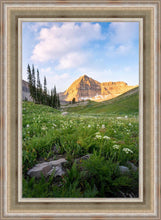Load image into Gallery viewer, Timpanogos Meadow